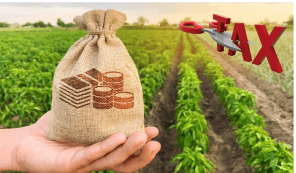 Tax Harvesting: Maximizing Returns in the Indian Context